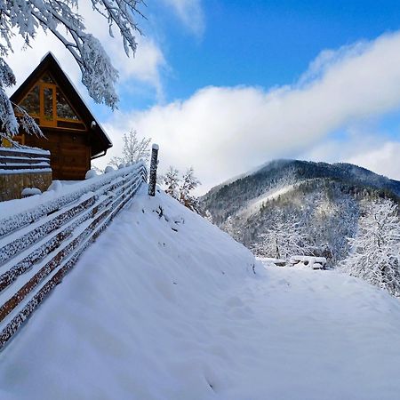 Drvene Kuce Suska - Wooden Houses Suska Zaovine Εξωτερικό φωτογραφία