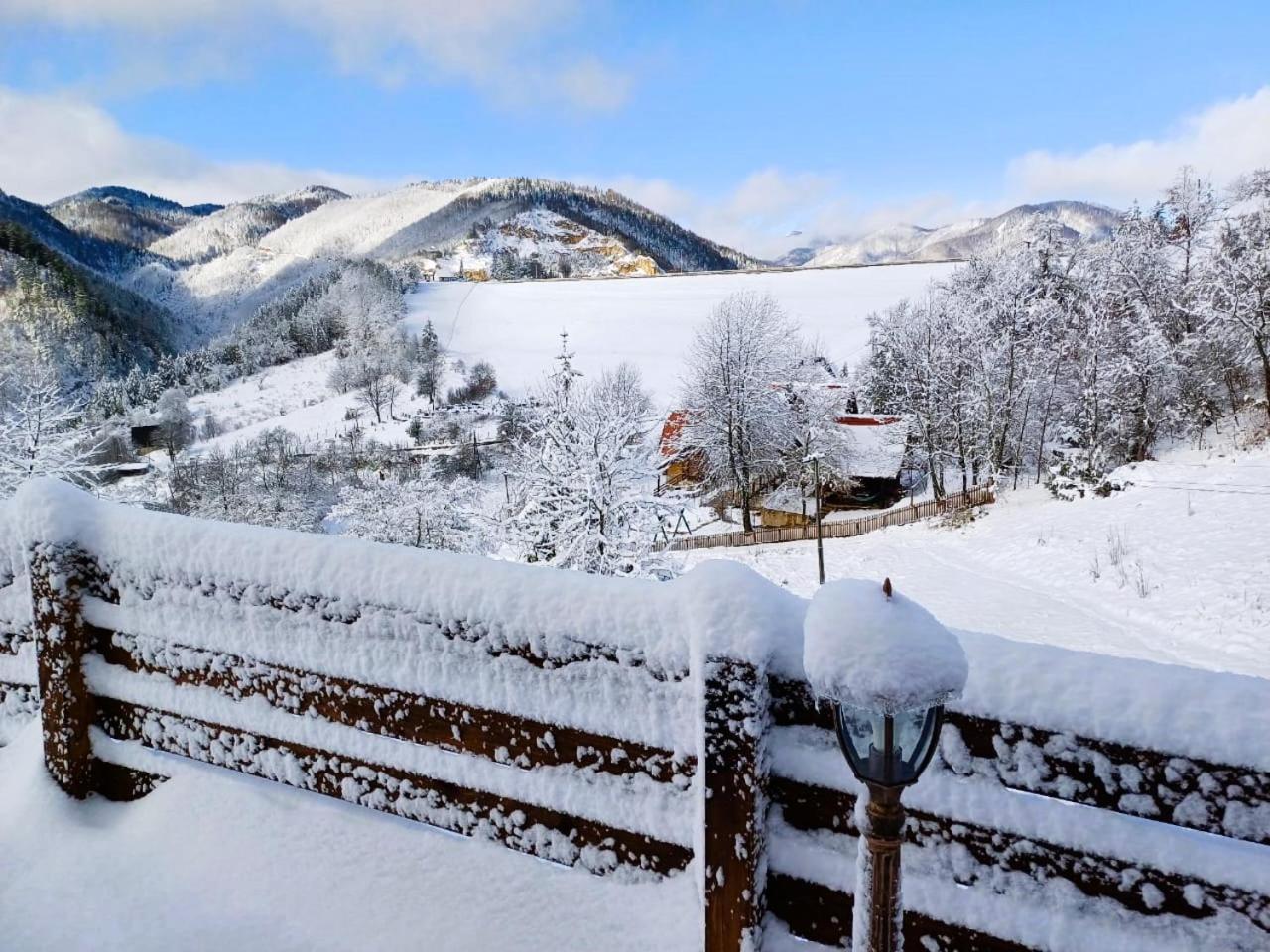 Drvene Kuce Suska - Wooden Houses Suska Zaovine Δωμάτιο φωτογραφία