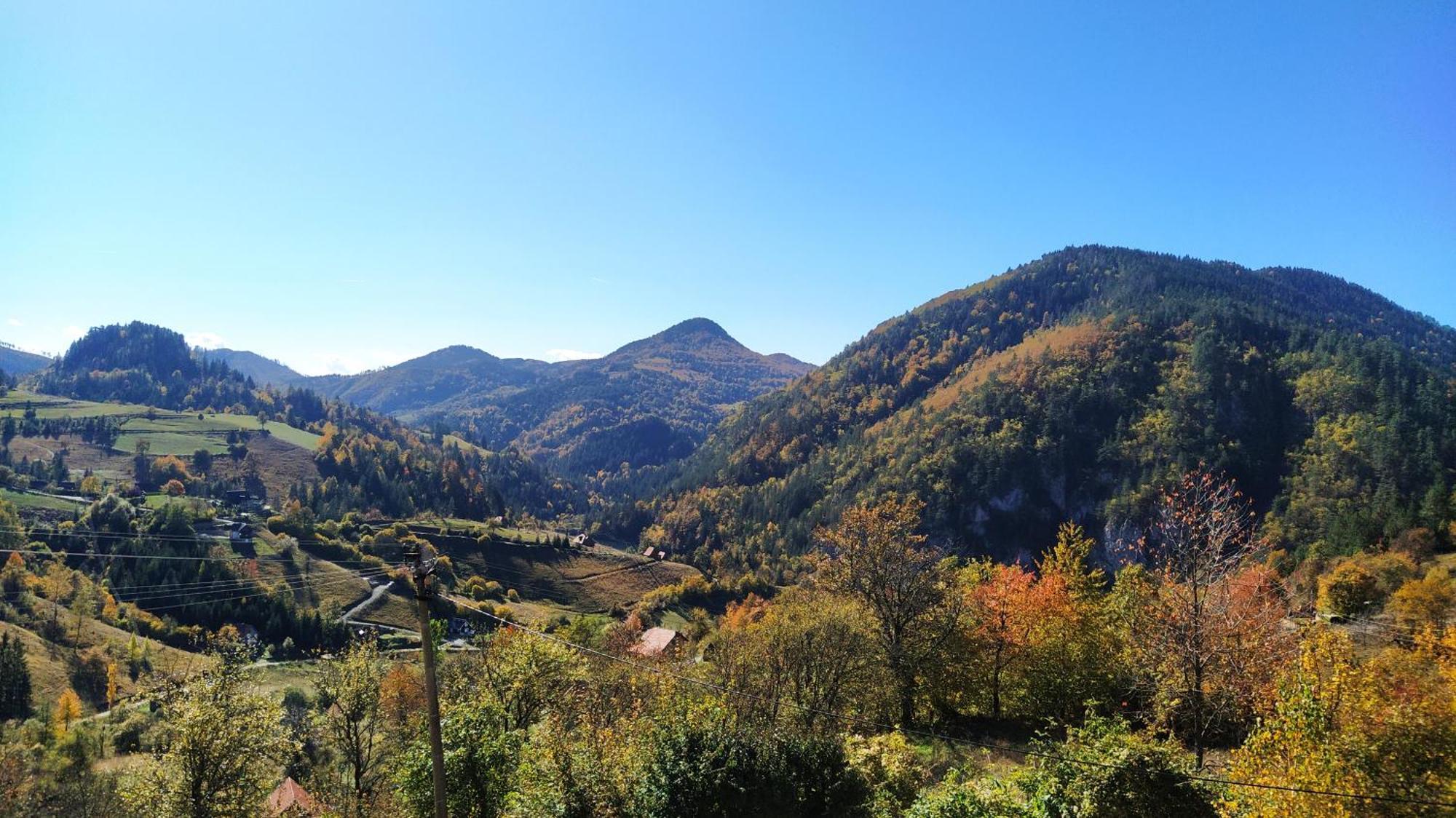 Drvene Kuce Suska - Wooden Houses Suska Zaovine Εξωτερικό φωτογραφία