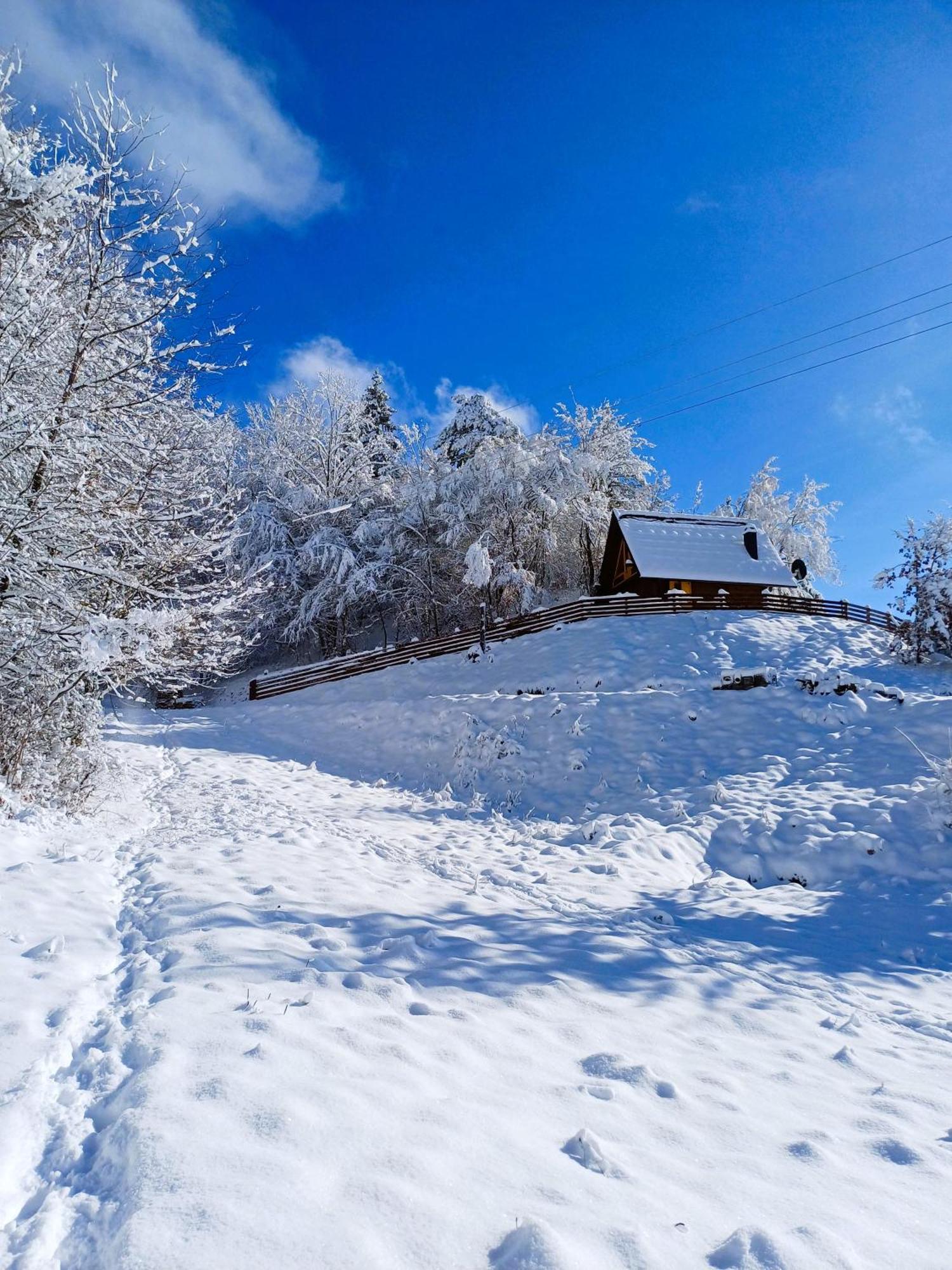 Drvene Kuce Suska - Wooden Houses Suska Zaovine Δωμάτιο φωτογραφία
