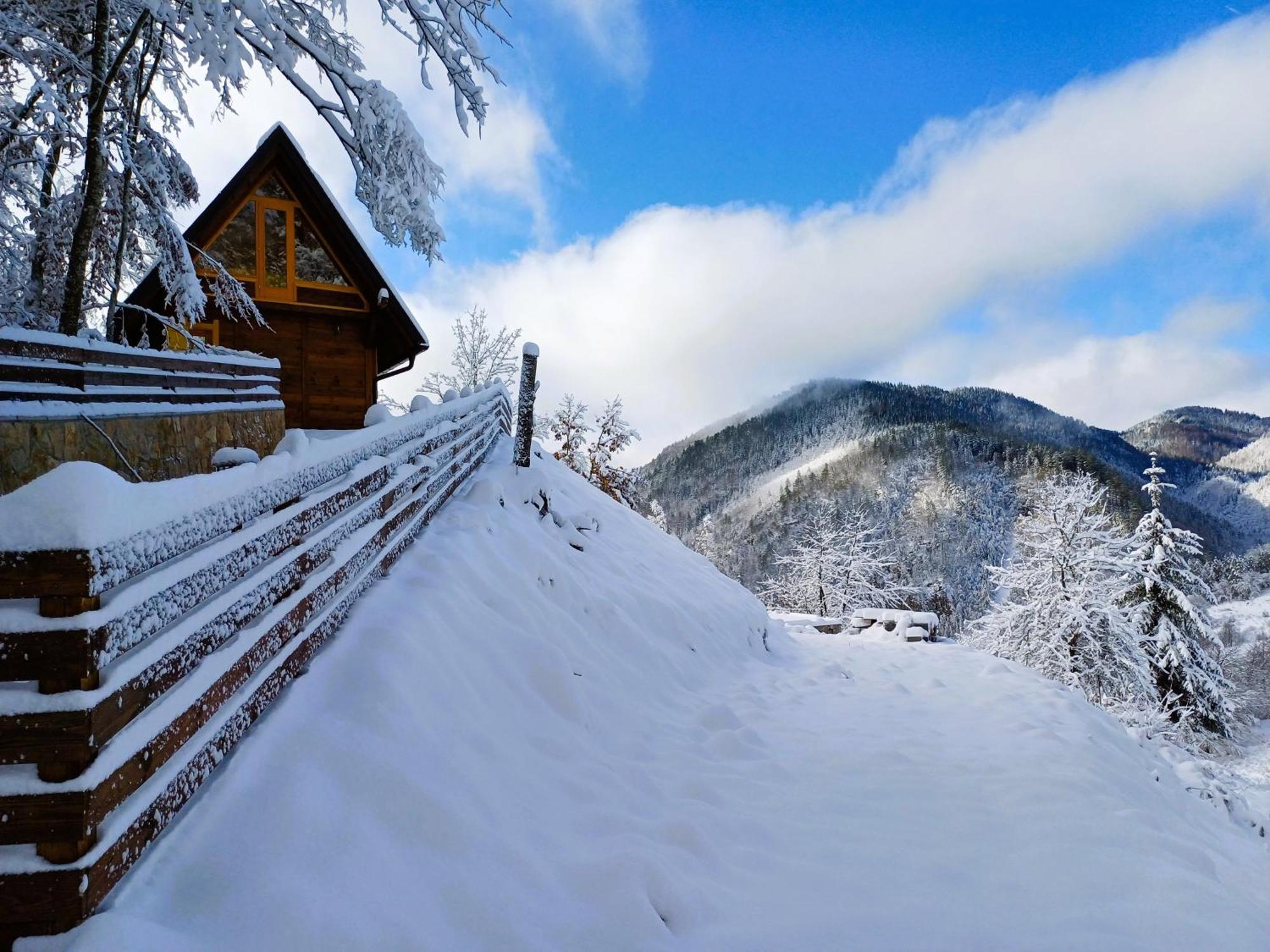 Drvene Kuce Suska - Wooden Houses Suska Zaovine Εξωτερικό φωτογραφία